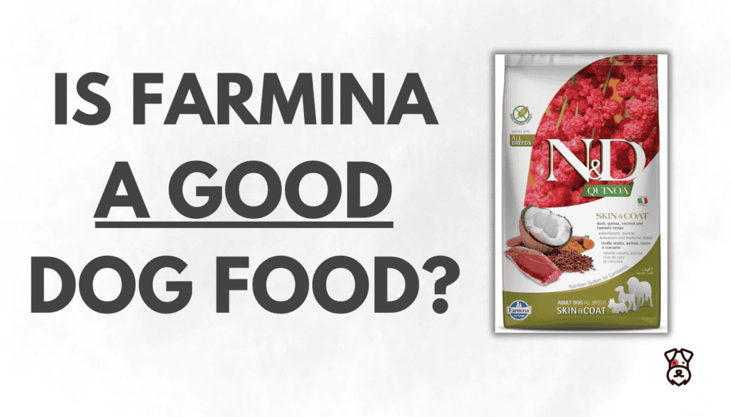 Farmina Dog Food Review