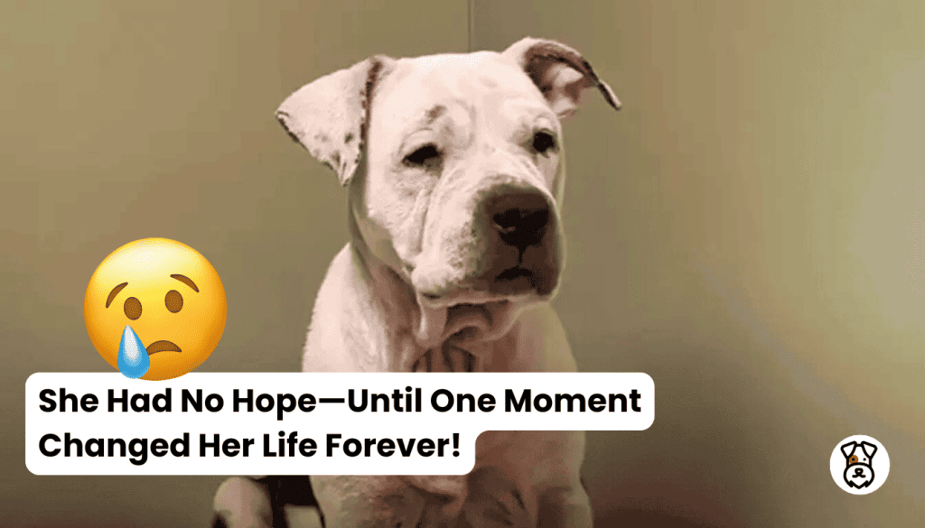 She Had No Hope—Until One Moment Changed Her Life Forever
