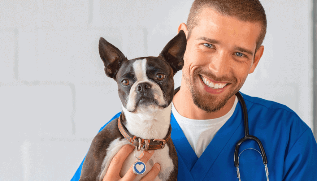 Your vet can identify subtle signs like stiffness or behavioral changes that might indicate underlying issues