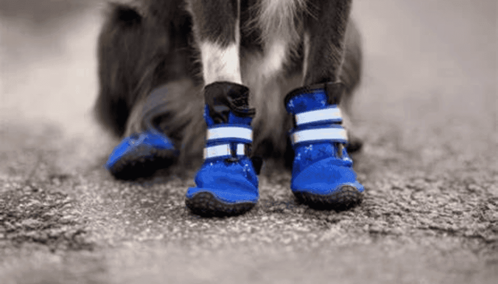 what dog boots stay on the best what dog boots stay on the best