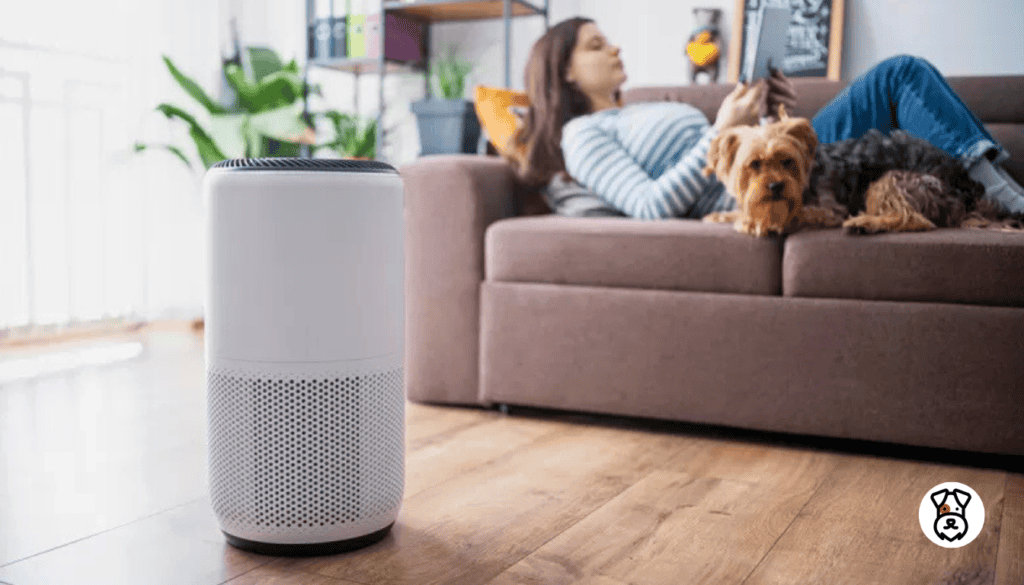 pets air purifiers