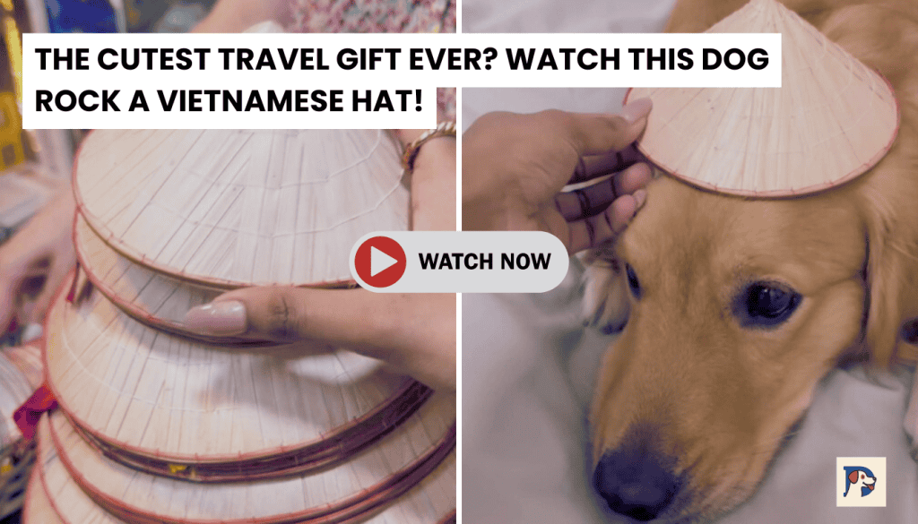 She Brought Home a Souvenir—Wait Till You See Who Ends Up Wearing It!