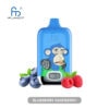 Fumot Digital Box 12000 Blueberry Raspberry