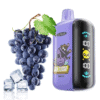 Elf Bar GH 23000 Grape Ice