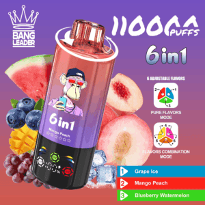 Bang Leader 110K Grape Ice / Mango Peach / Blueberry Watermelon