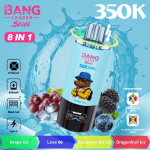 Bang Leader 350K Grape Ice / Love 66 / Blueberry One Ice / Dragonfruit Ice