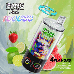 Bang Leader 100k Lemon Lime / Strawberry Ice / Raspberry Watermelon / Fizzy Cherry