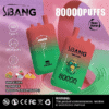 Bang Leader 80000 Kiwi Passion / Lychee Ice / Mango Peach Pineapple