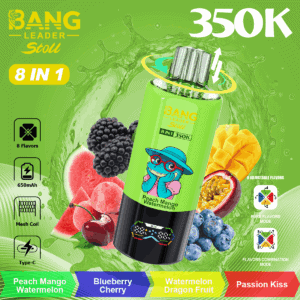 Bang Leader 350K Peach Mango Watermelon / Blueberry Cherry / Watermelon Dragon Fruit / Passion Kiss