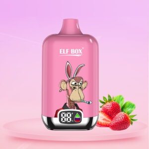 ELF BOX Digital 12000 Strawberry Watermelon
