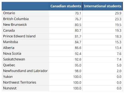 choose between domestic and international colleges
