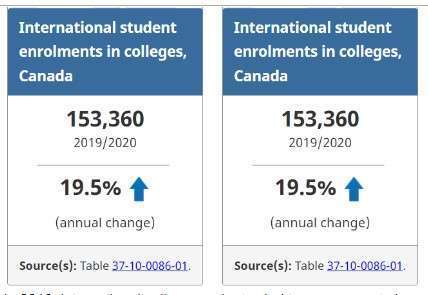 choose between domestic and international colleges