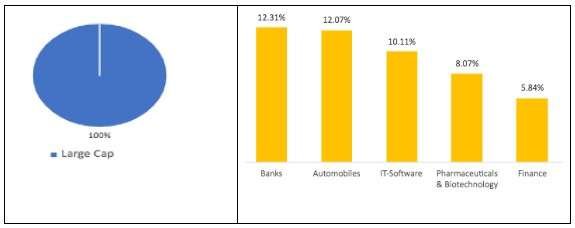 DSP-nifty-50-equal-weight-index-fund-portfolio-composition
