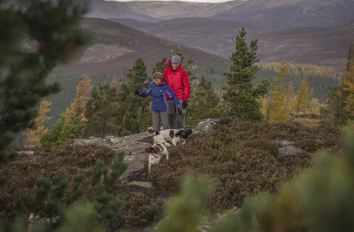 Walking in the Highlands