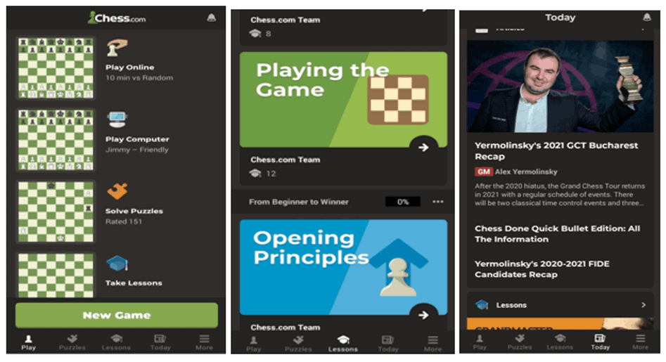 chess.com business model features