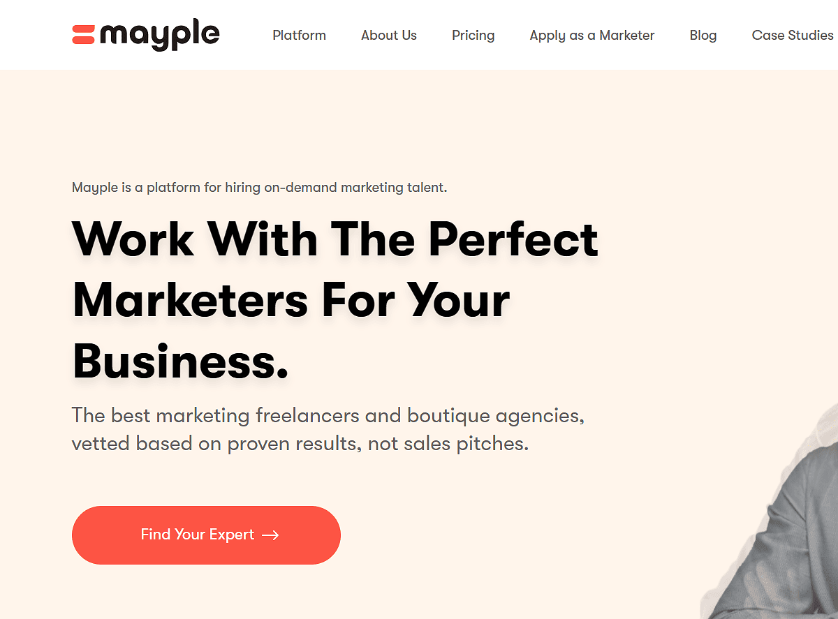 Mayple social media advertising specialists