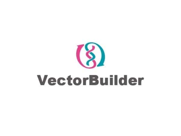 VectorBuilder