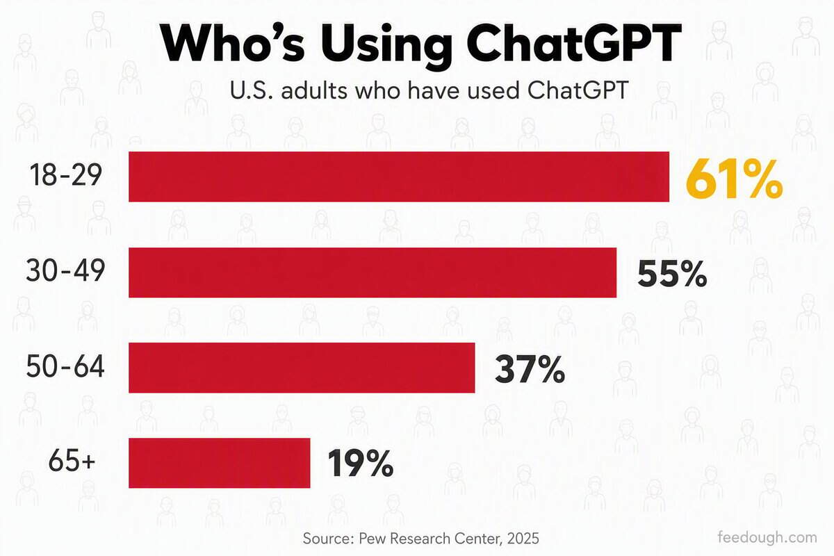 ChatGPT User Demographics and Behaviour Statistics