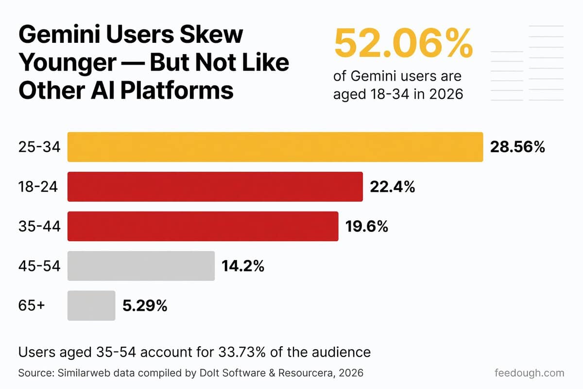 Gemini User Demographics Statistics