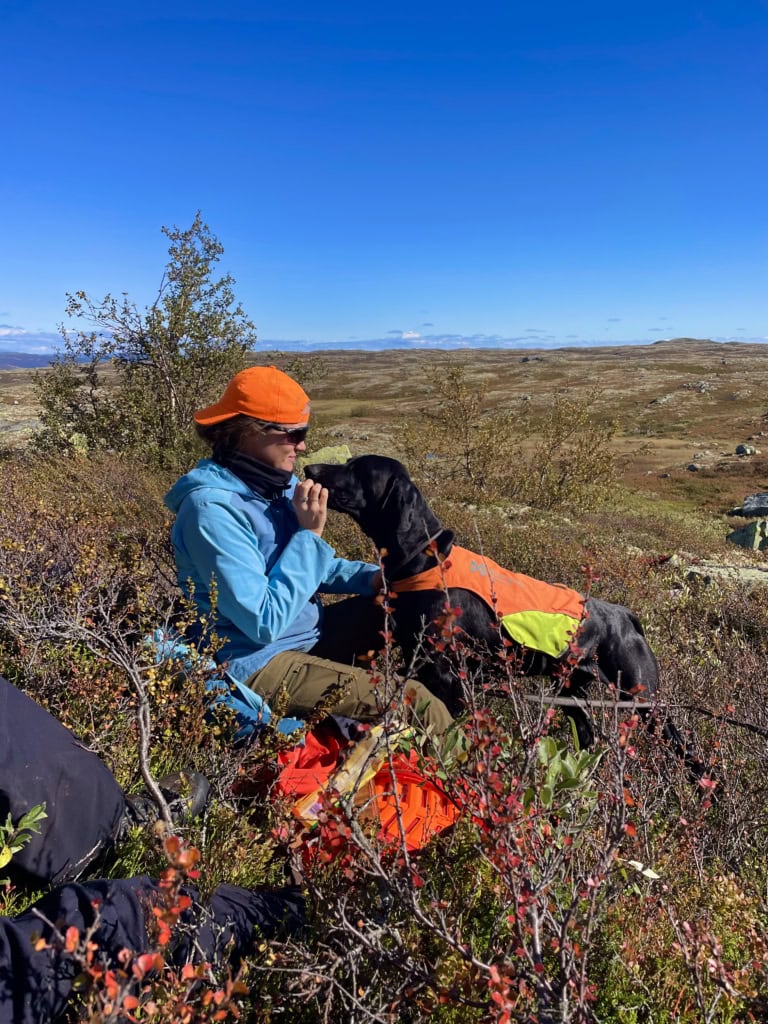 Jente på jakt med fuglehund