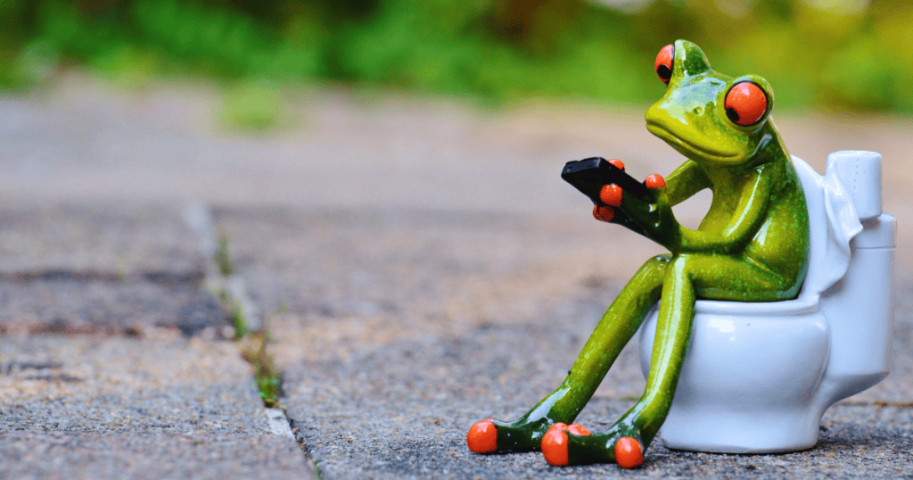Cute frog sitting on a toilet using a smartphone outdoors.