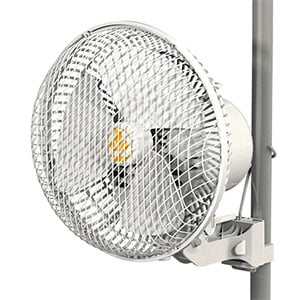 Secret Jardin Monkey Fan 20W oszillierend