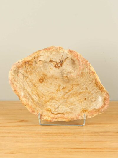 Fruitschaal – Lichtbruin – Versteend hout – 3x35x35 cm
