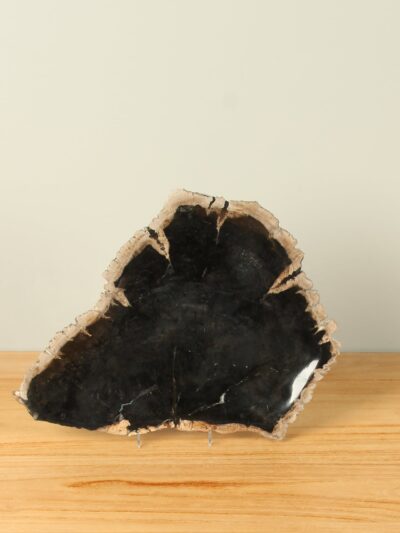 Fruitschaal – Zwart – Versteend hout – 28 cm