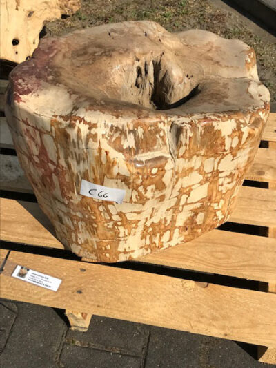 Versteend hout – Donkerbruin – Versteend hout – 37x61x34 cm