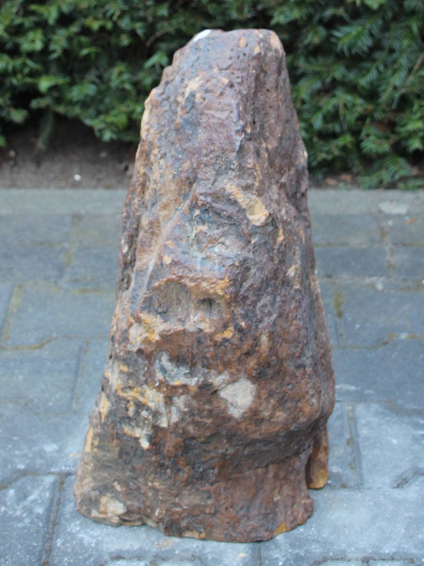 Versteend hout - Donkerbruin - Versteend hout - 49x36x24 cm - Afbeelding 2