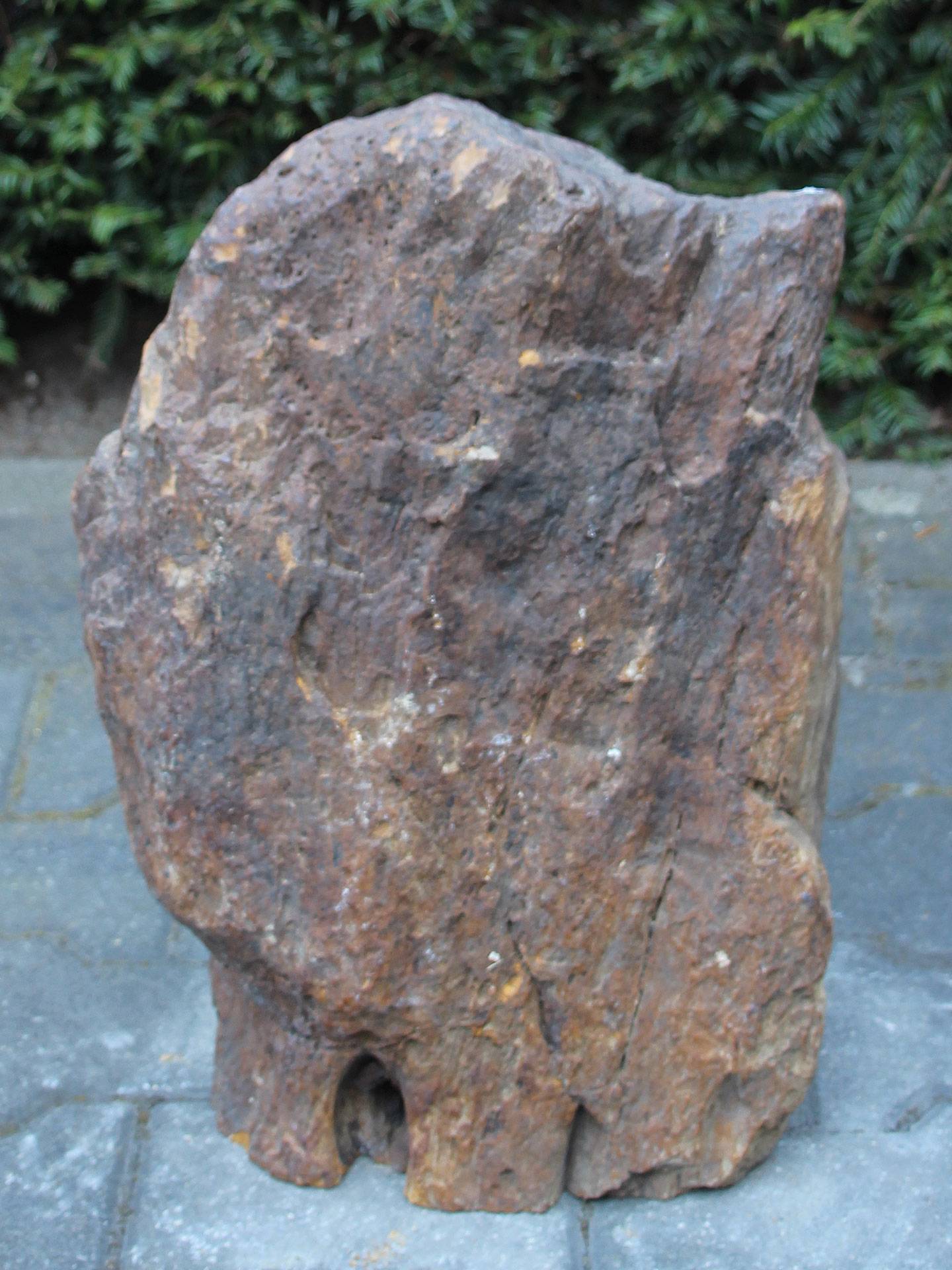 Versteend hout - Donkerbruin - Versteend hout - 49x36x24 cm - Afbeelding 3