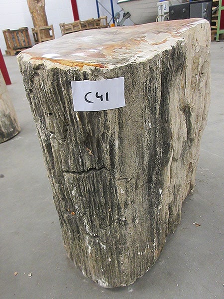 Versteend hout - Donkerbruin - Versteend hout - 50x50x40 cm - Afbeelding 2