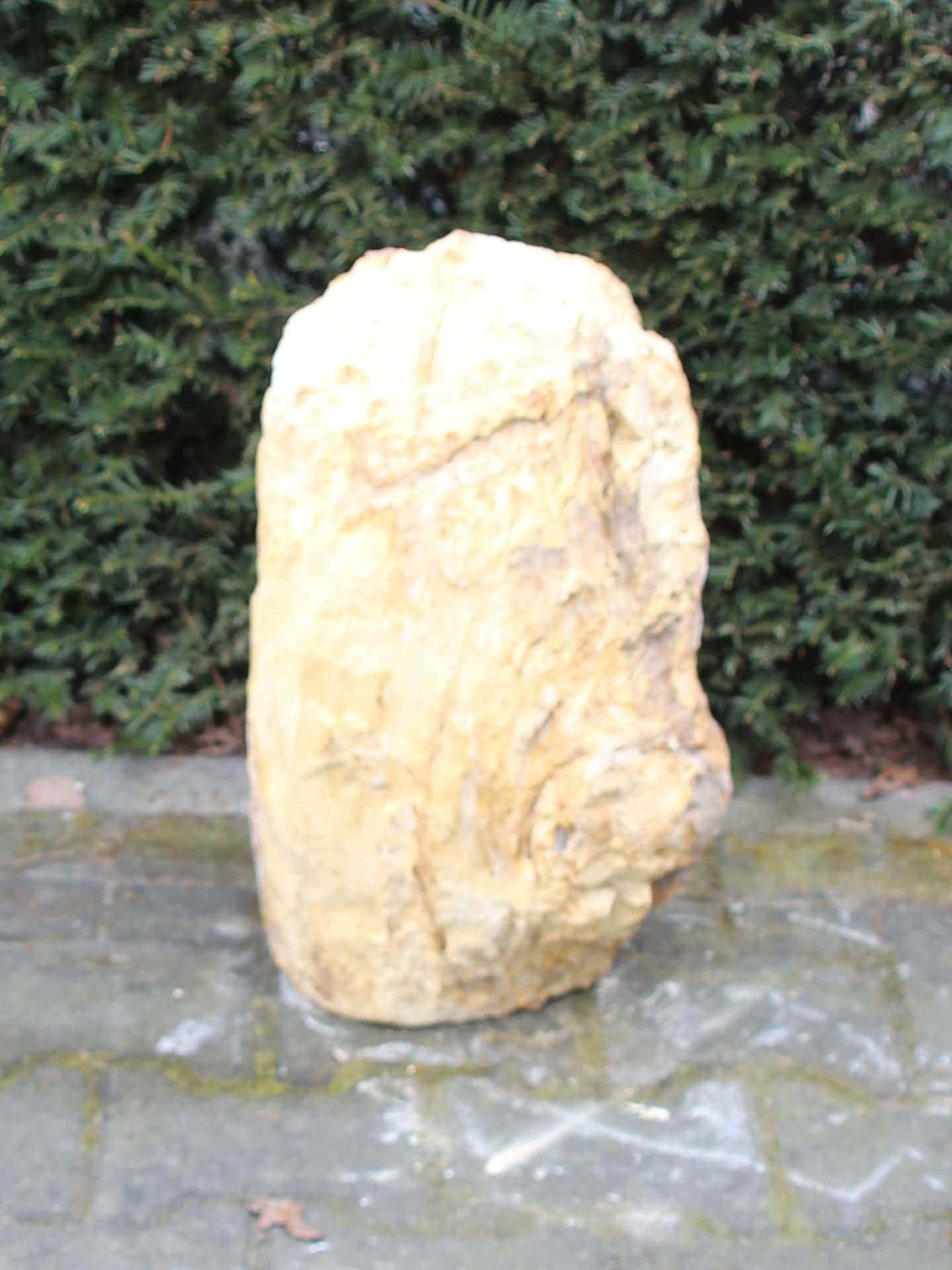 Versteend hout - Donkerbruin - Versteend hout - 51x30x25 cm - Afbeelding 3