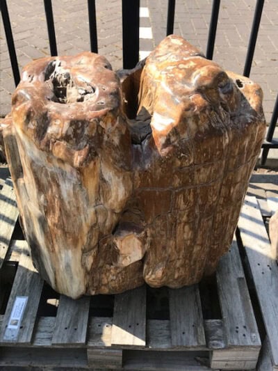 Versteend hout – Donkerbruin – Versteend hout – 60x60x40 cm