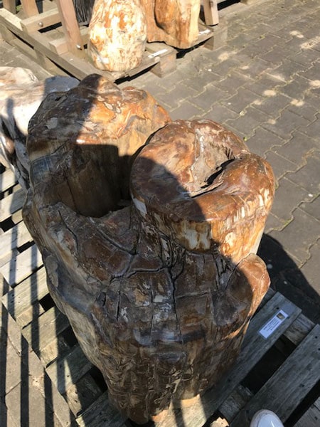 Versteend hout - Donkerbruin - Versteend hout - 60x60x40 cm - Afbeelding 3