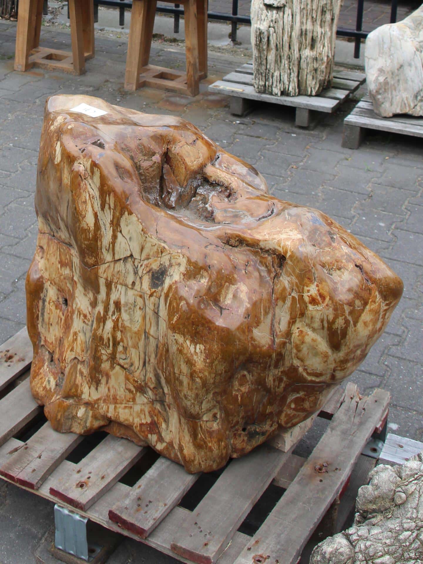 Versteend hout - Donkerbruin - Versteend hout - 62x80x45 cm - Afbeelding 2
