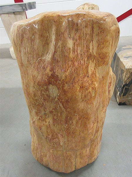 Versteend hout - Donkerbruin - Versteend hout - 65x40x30 cm