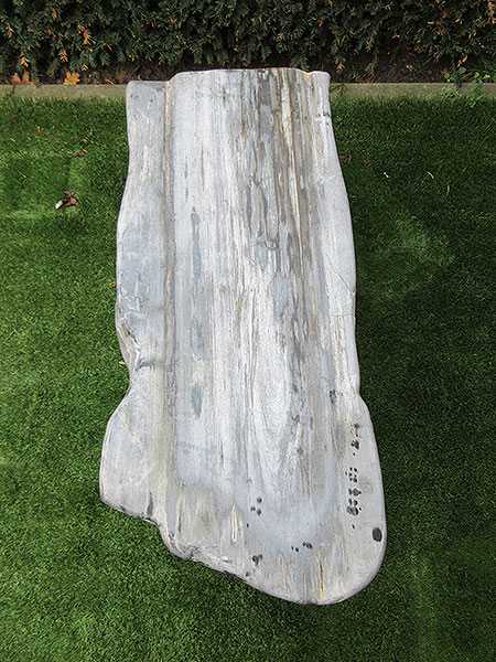 Versteend hout - Grijs - Versteend hout - Bankje - 7x30x100 cm - Afbeelding 2