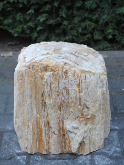 Versteend hout – Lichtbruin – Versteend hout – 30x30x23 cm