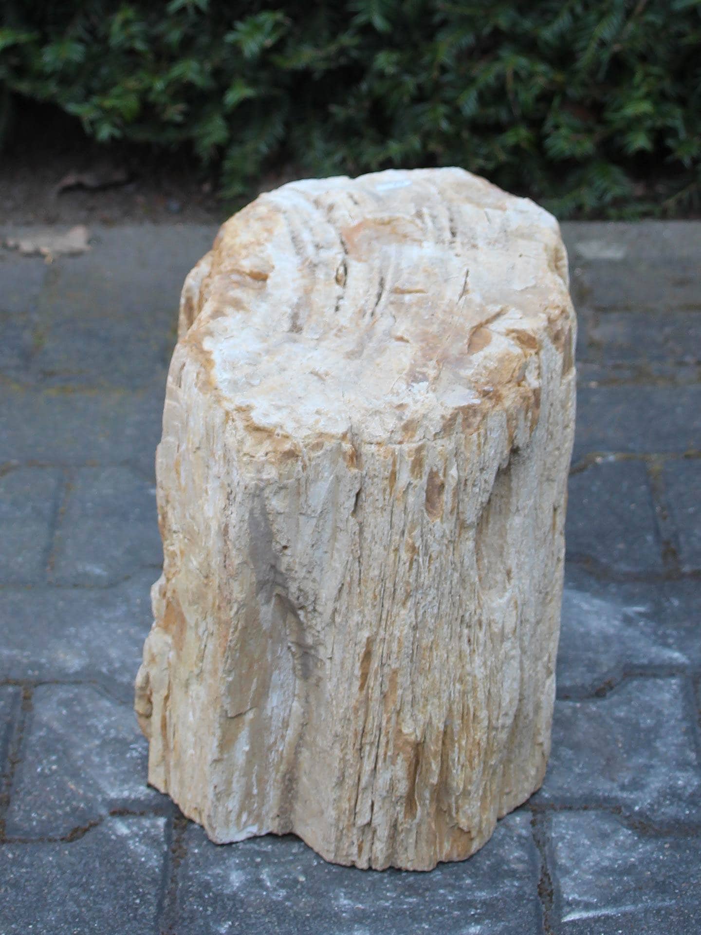 Versteend hout - Lichtbruin - Versteend hout - 30x30x23 cm - Afbeelding 2