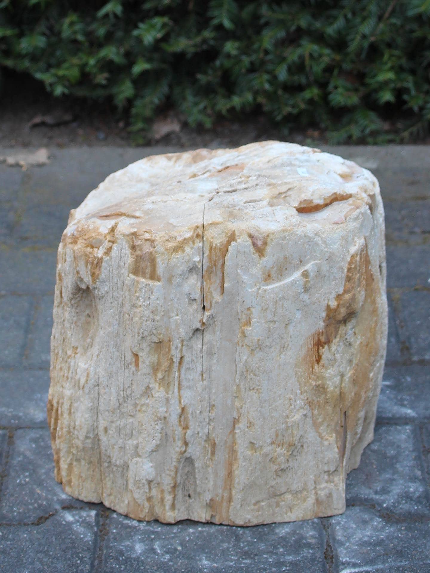 Versteend hout - Lichtbruin - Versteend hout - 30x30x23 cm - Afbeelding 3
