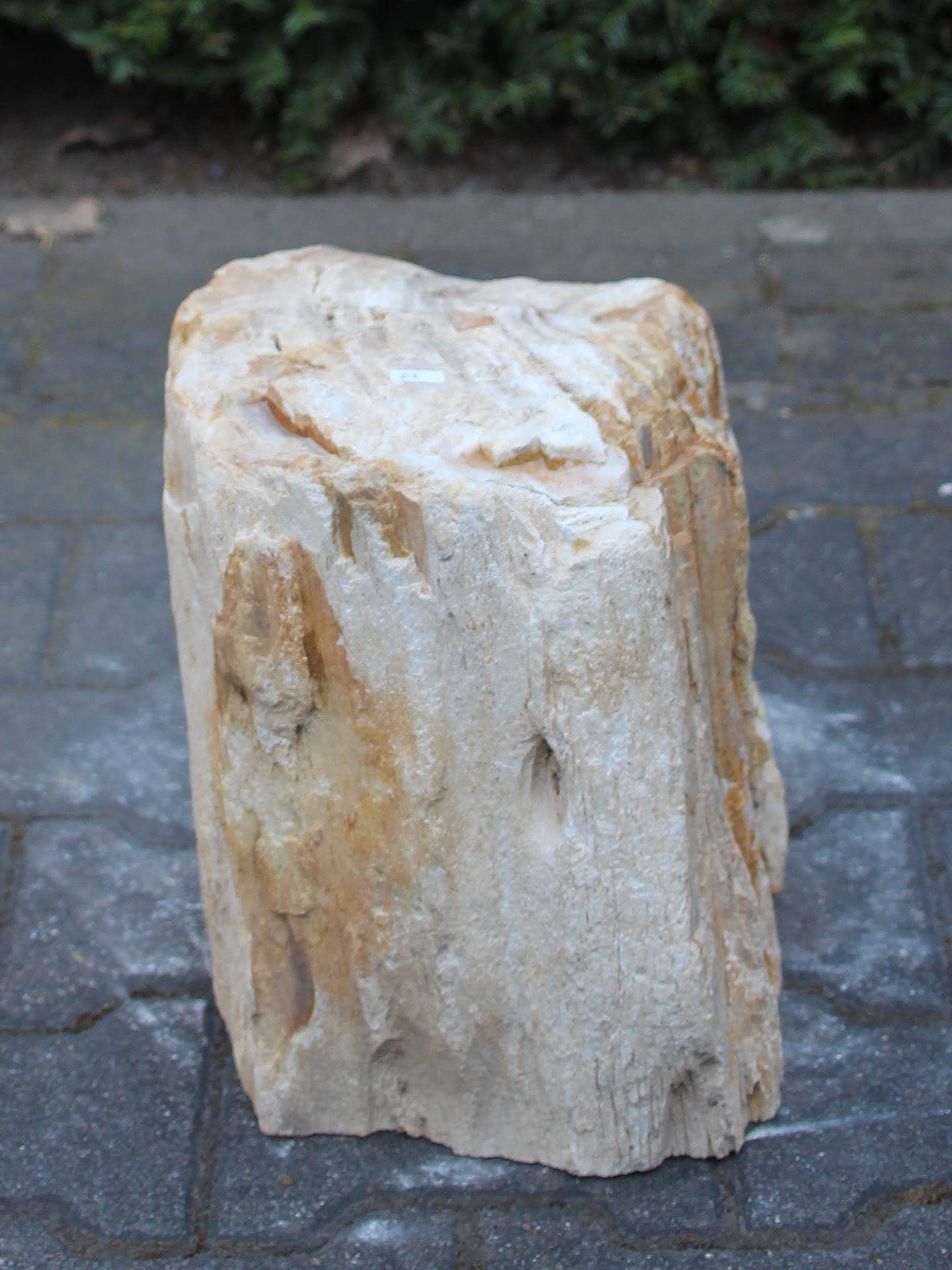 Versteend hout - Lichtbruin - Versteend hout - 30x30x23 cm - Afbeelding 4