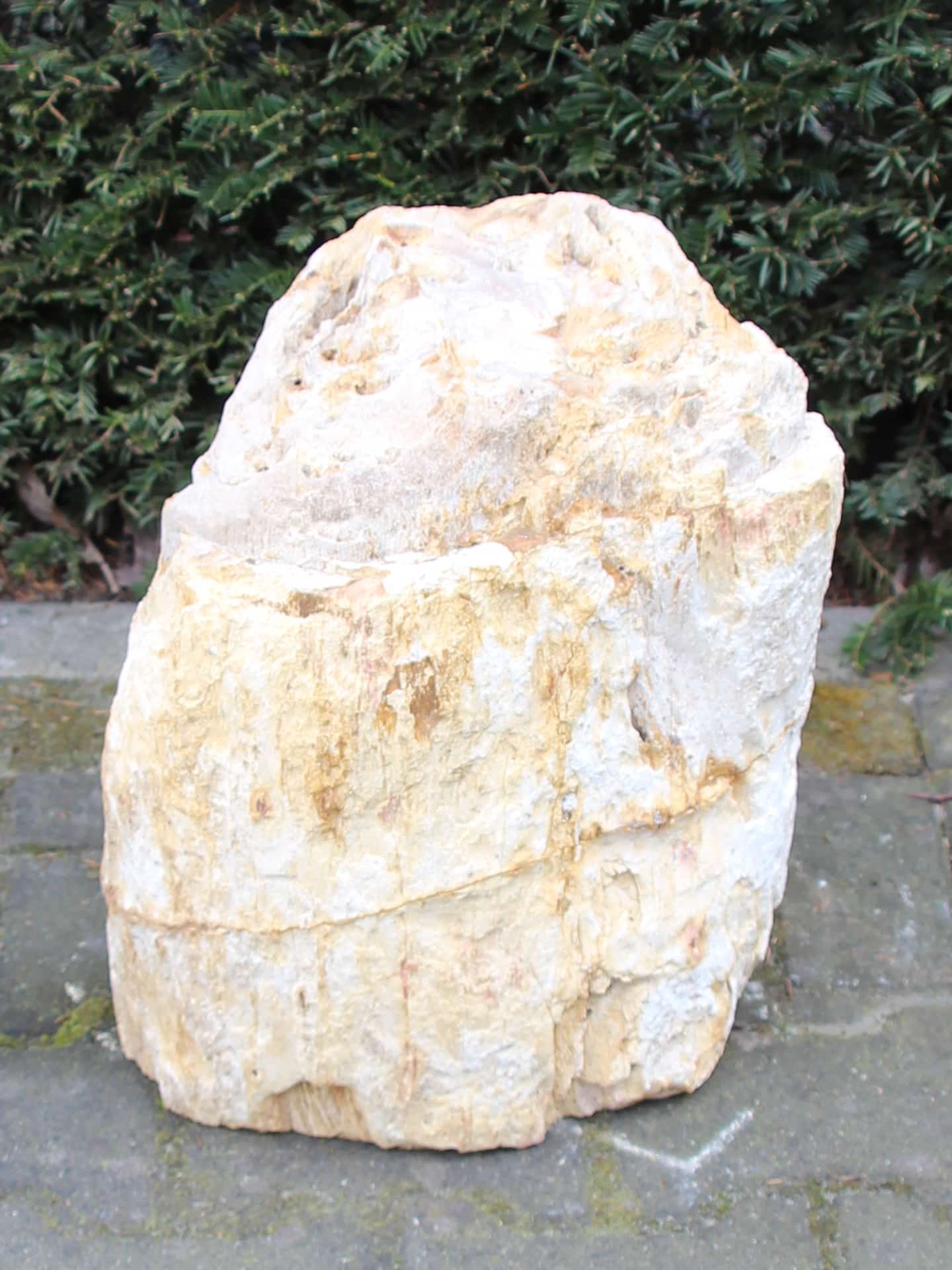 Versteend hout - Lichtbruin - Versteend hout - 40x32x23 cm