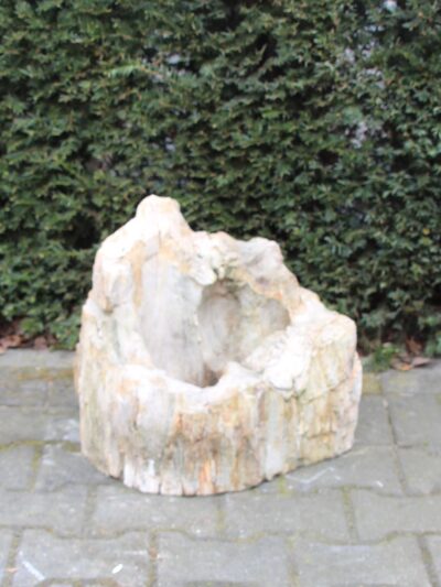 Versteend hout – Lichtbruin – Versteend hout – 42x43x40 cm