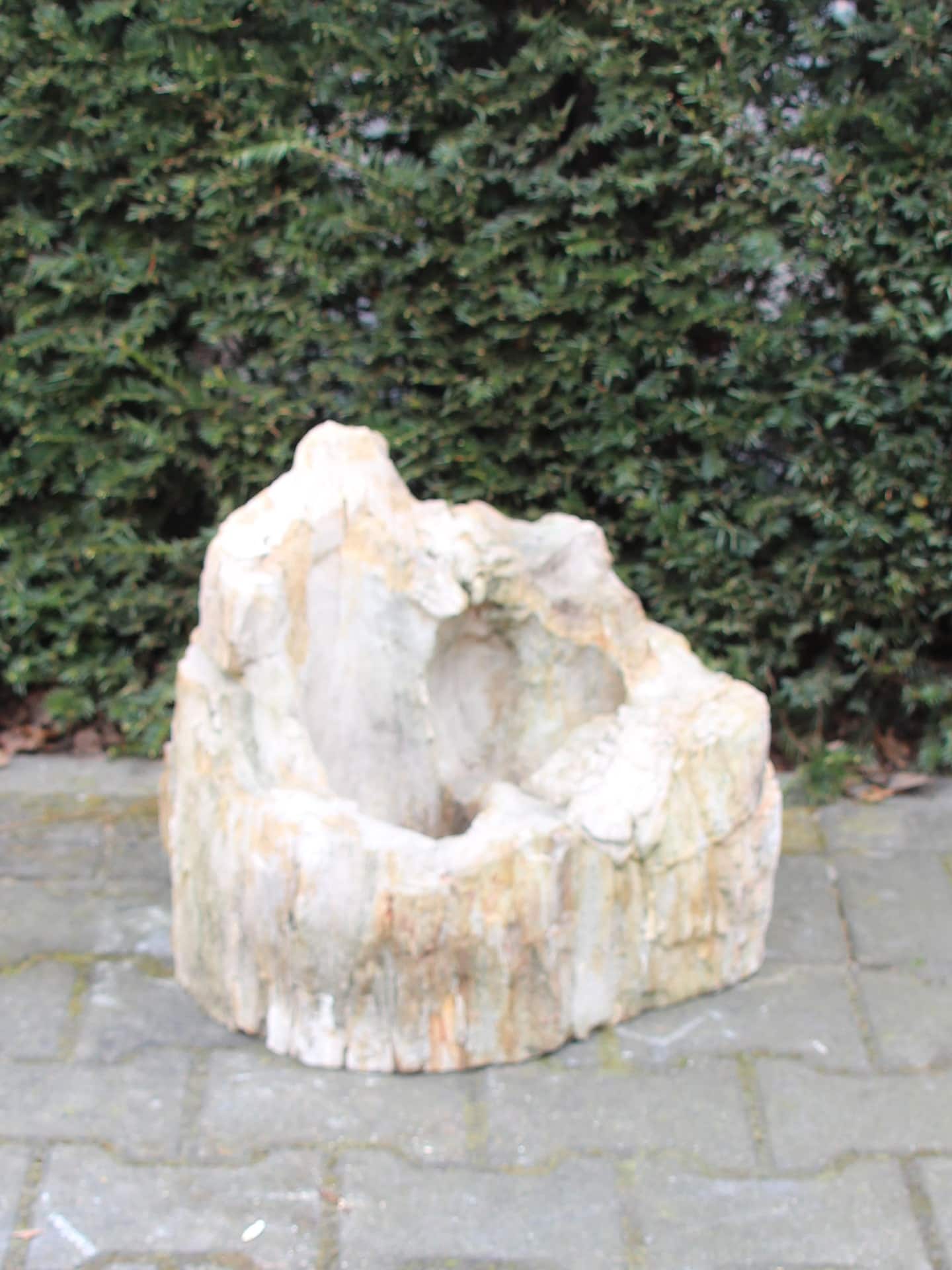 Versteend hout - Lichtbruin - Versteend hout - 42x43x40 cm