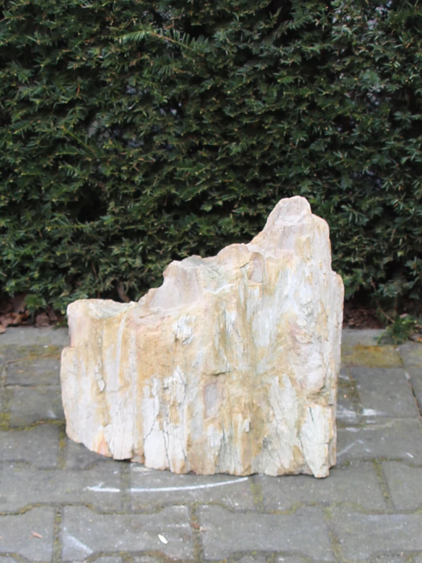 Versteend hout - Lichtbruin - Versteend hout - 42x43x40 cm - Afbeelding 2
