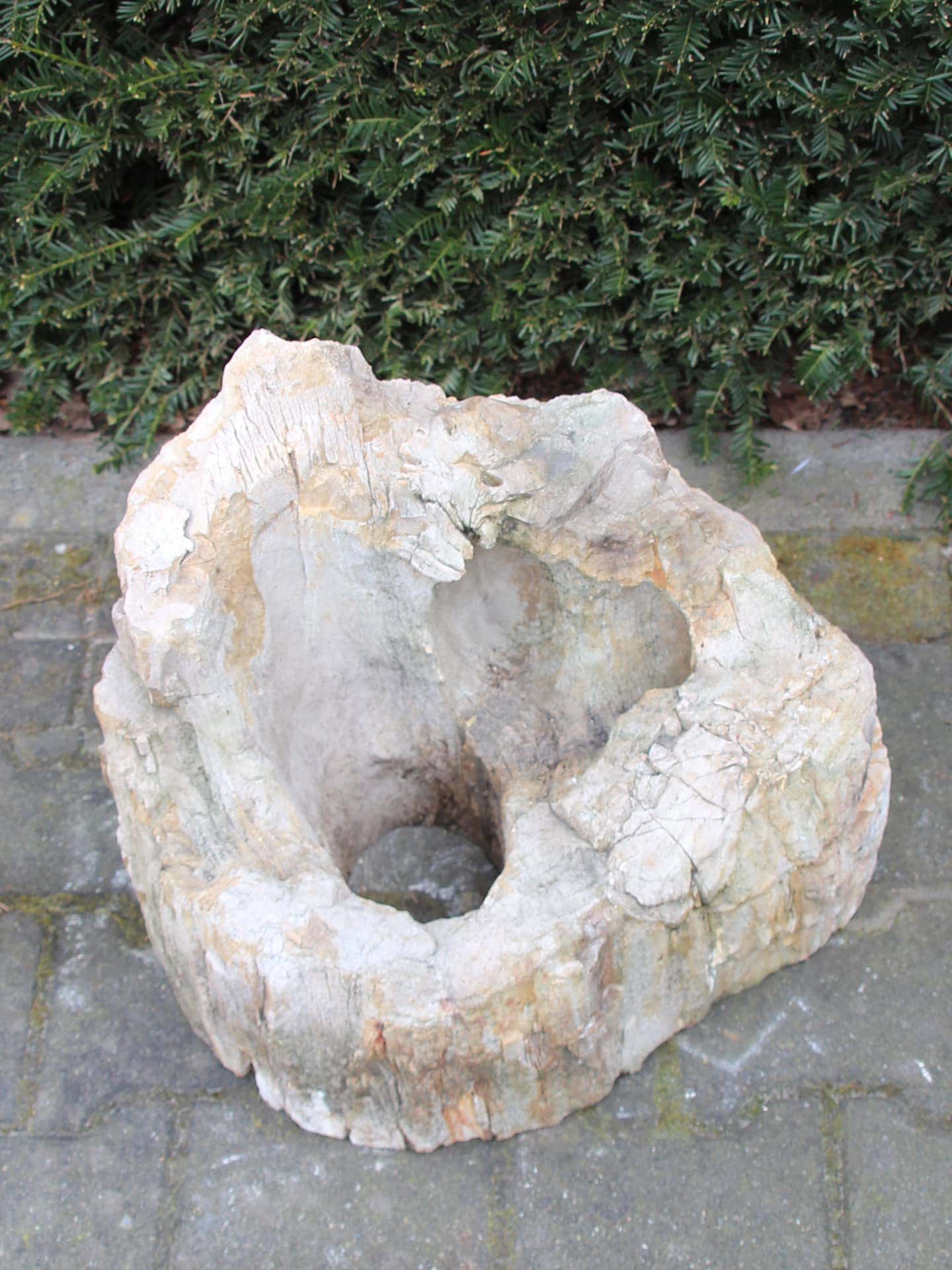 Versteend hout - Lichtbruin - Versteend hout - 42x43x40 cm - Afbeelding 3