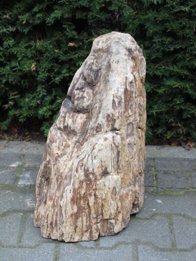 Versteend hout – Lichtbruin – Versteend hout – 48x36x27 cm