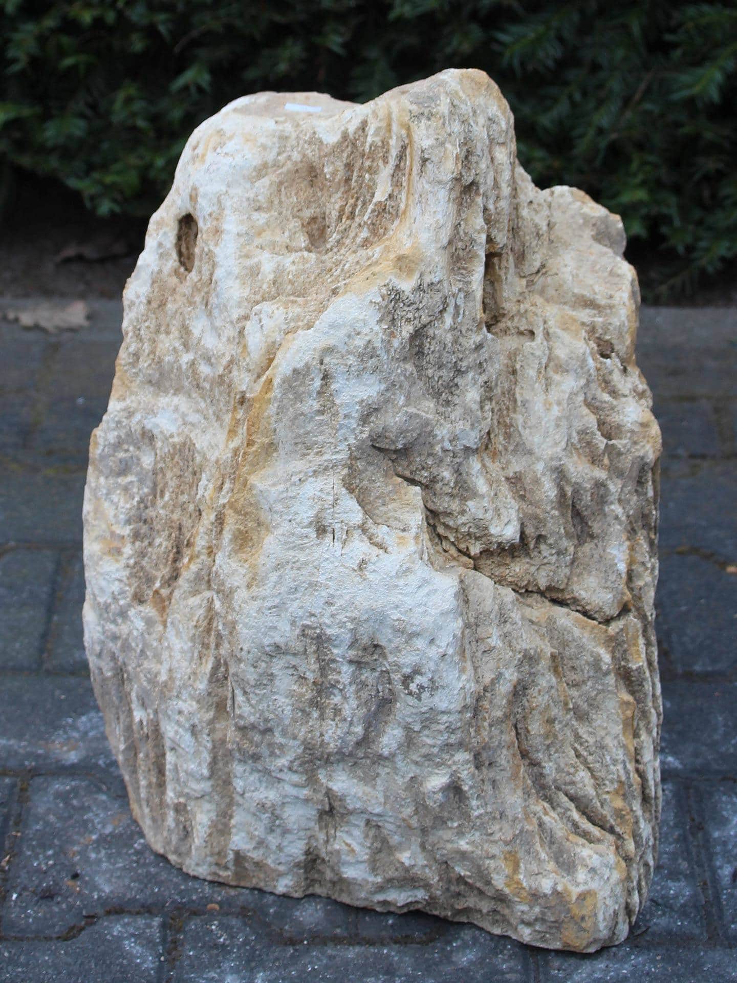 Versteend hout - Lichtbruin - Versteend hout - 50x30x25 cm