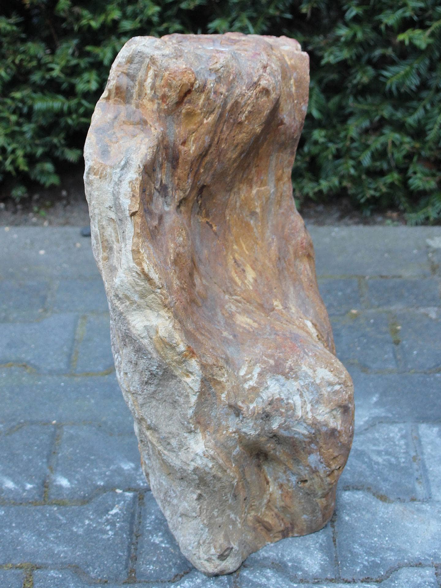 Versteend hout - Lichtbruin - Versteend hout - 53x30x24 cm - Afbeelding 2